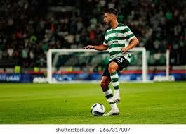 虚拟篮球博彩收入占比升至25%