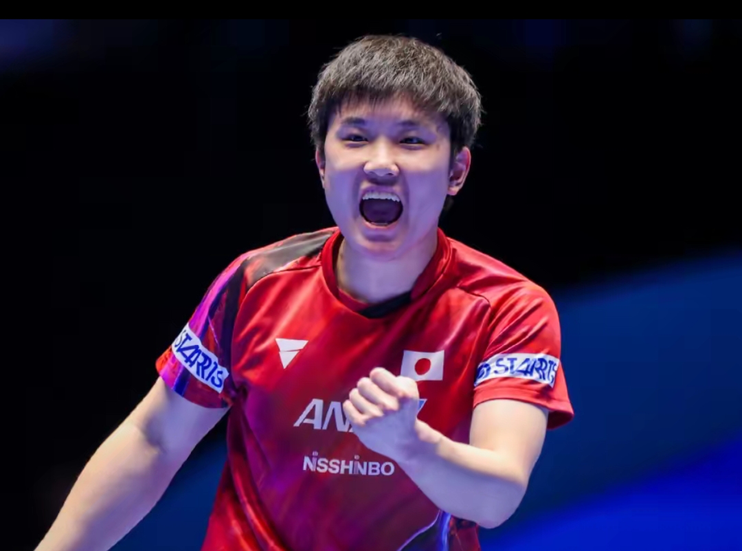 理智时刻不 理智时刻不