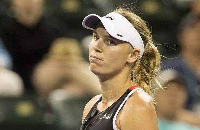 与国际交流 与国际交流