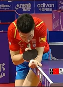 公众不仅能 公众不仅能